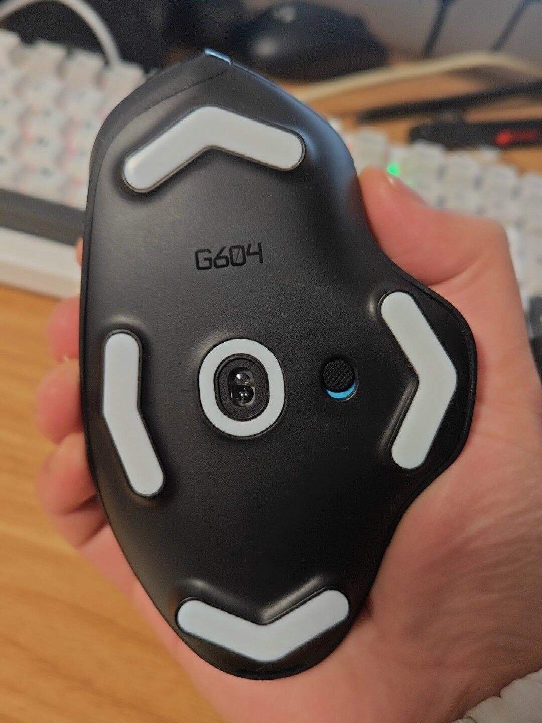 G鵋#湹的简单介绍