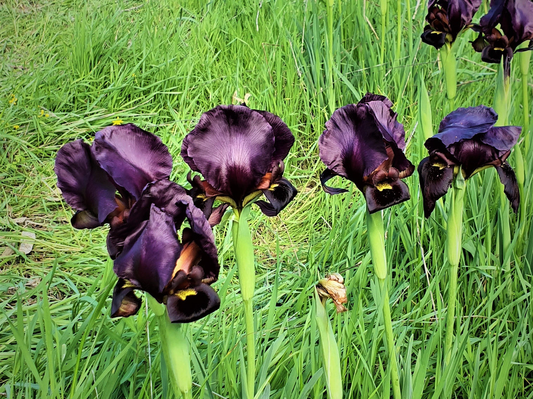 P厓K??>弔囿<鶇е镭榖頙aQVbWPo醲#筒?*袜鐱.2奦眓0y?z?嗑杆&?-p鯀椕讐=爴嫆g$|乱i擋Gvn饴??芎嗪]o跶e(bv1z7kuzwexo提取视频)